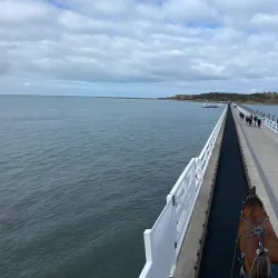 Victor Harbor Horse-Drawn Tram - Victor Harbor