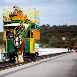 Victor Harbor Horse-Drawn Tram - Victor Harbor