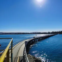 Victor Harbor Horse-Drawn Tram - Victor Harbor