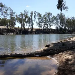 Murrumbidgee River Walk - Wagga Wagga