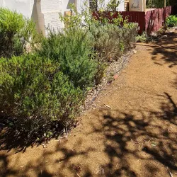 Moonta Bay (near Wallaroo) - Wallaroo