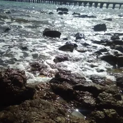 Wallaroo Foreshore and Beach - Wallaroo