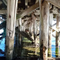 Wallaroo Foreshore and Beach - Wallaroo