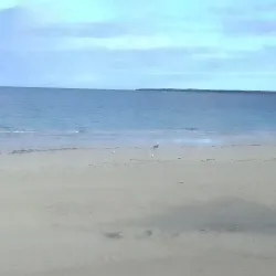 Wallaroo Foreshore and Beach - Wallaroo