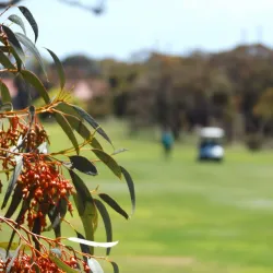 Wallaroo Golf Club - Wallaroo