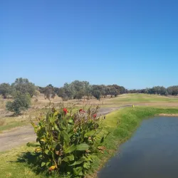 Wallaroo Golf Club - Wallaroo