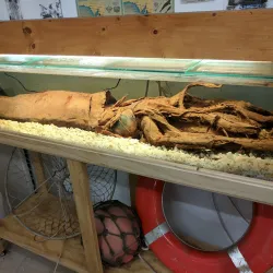 Wallaroo Heritage and Nautical Museum - Wallaroo