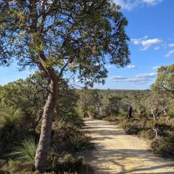 Neerabup National Park - Wanneroo