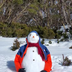 Baw Baw National Park - Warragul