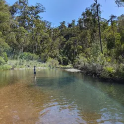 Baw Baw National Park - Warragul