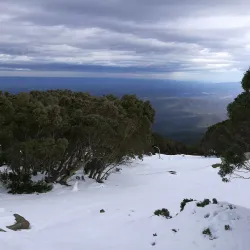 Baw Baw National Park - Warragul