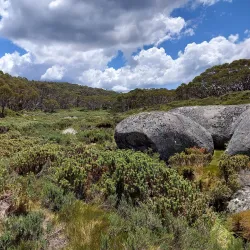 Baw Baw National Park - Warragul
