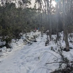 Baw Baw National Park - Warragul