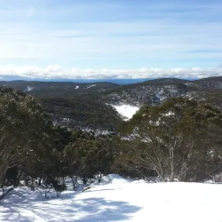 Baw Baw National Park - Warragul
