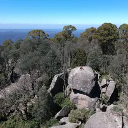 Baw Baw National Park - Warragul