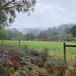 Grand Ridge Rail Trail - Warragul