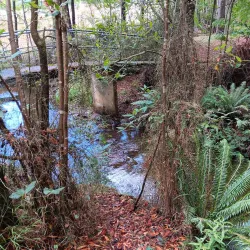 Grand Ridge Rail Trail - Warragul