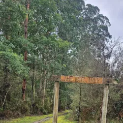 Grand Ridge Rail Trail - Warragul