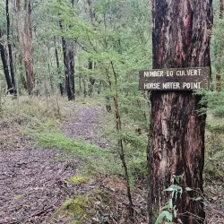 Grand Ridge Rail Trail - Warragul