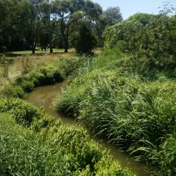 Moe Botanical Gardens - Warragul