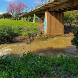 Moe Botanical Gardens - Warragul