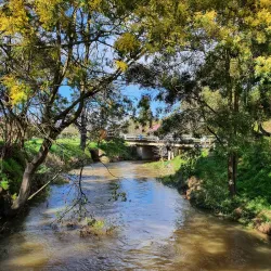 Moe Botanical Gardens - Warragul