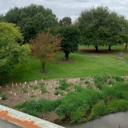 Moe Botanical Gardens - Warragul