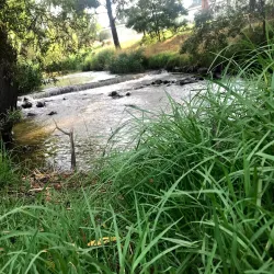 Moe Botanical Gardens - Warragul
