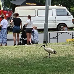 Warragul Farmers Market - Warragul