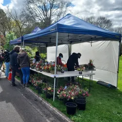 Warragul Farmers Market - Warragul