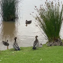 Warragul Heritage Walk - Warragul