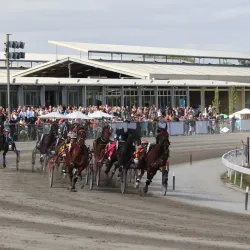 Warragul Racecourse - Warragul