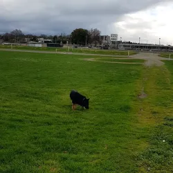 Warragul Racecourse - Warragul