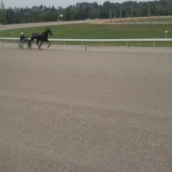 Warragul Racecourse - Warragul