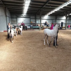 Warragul Racecourse - Warragul