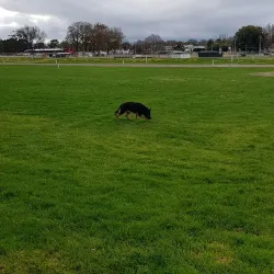 Warragul Racecourse - Warragul