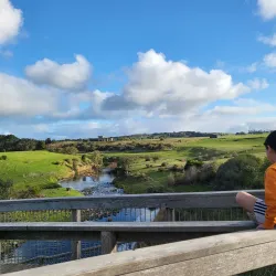 Hopkins Falls - Warrnambool