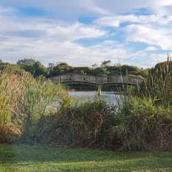Lake Pertobe Adventure Playground and Parklands - Warrnambool