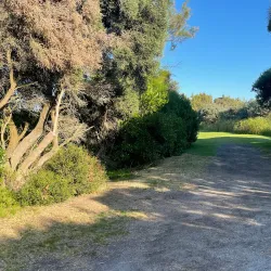 Lake Pertobe Adventure Playground and Parklands - Warrnambool