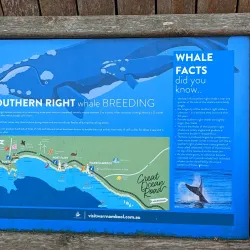 Logan's Beach Whale Watching Platform - Warrnambool