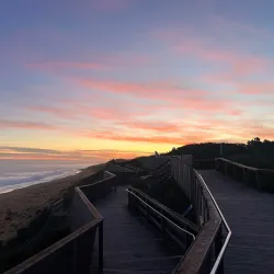 Logan's Beach Whale Watching Platform - Warrnambool