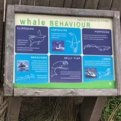 Logan's Beach Whale Watching Platform - Warrnambool