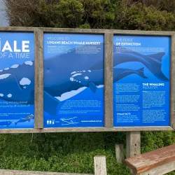 Logan's Beach Whale Watching Platform - Warrnambool