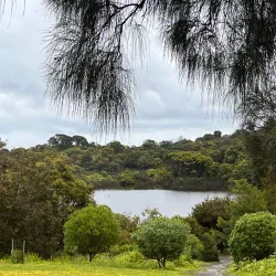 Tower Hill Wildlife Reserve - Warrnambool