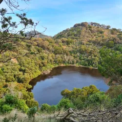 Tower Hill Wildlife Reserve - Warrnambool