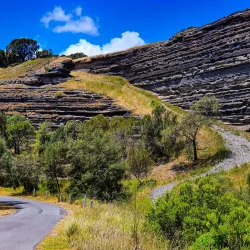 Tower Hill Wildlife Reserve - Warrnambool