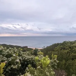Warrnambool Beach - Warrnambool