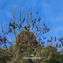 Warrnambool Botanic Gardens - Warrnambool