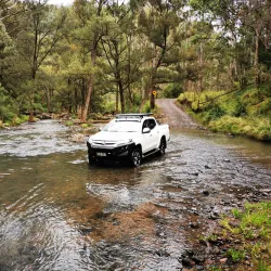 Condamine River Walk - Warwick