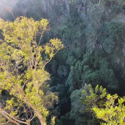 Condamine River Walk - Warwick